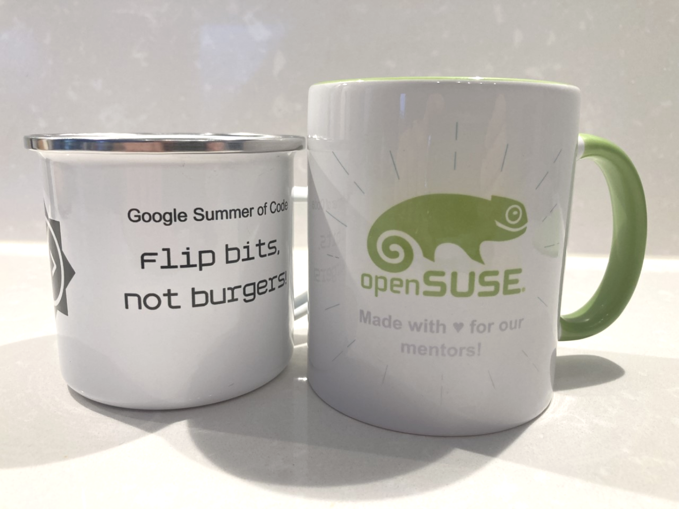openSUSE 项目计划举行研讨会以增加指导工作