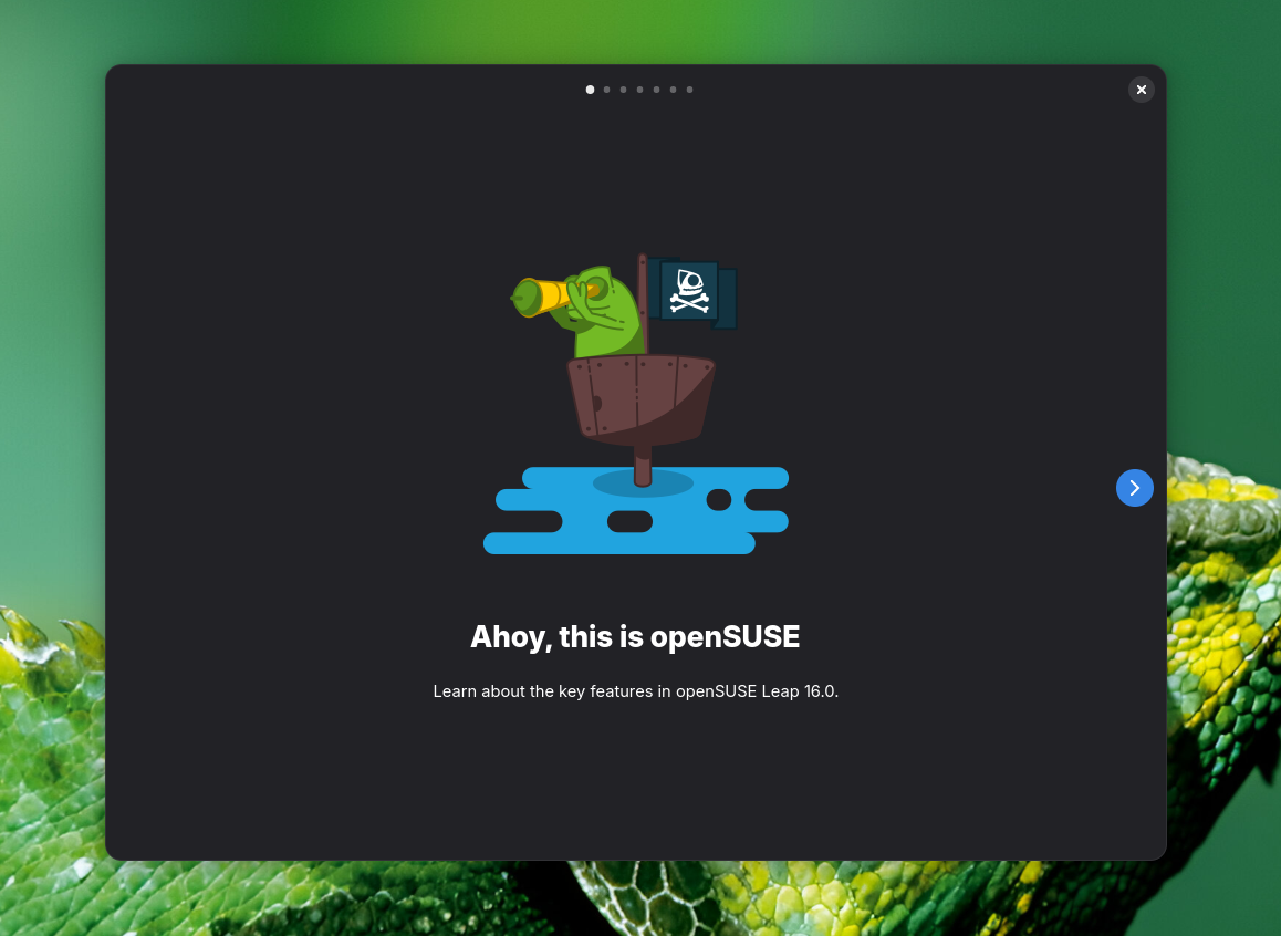 Geeko